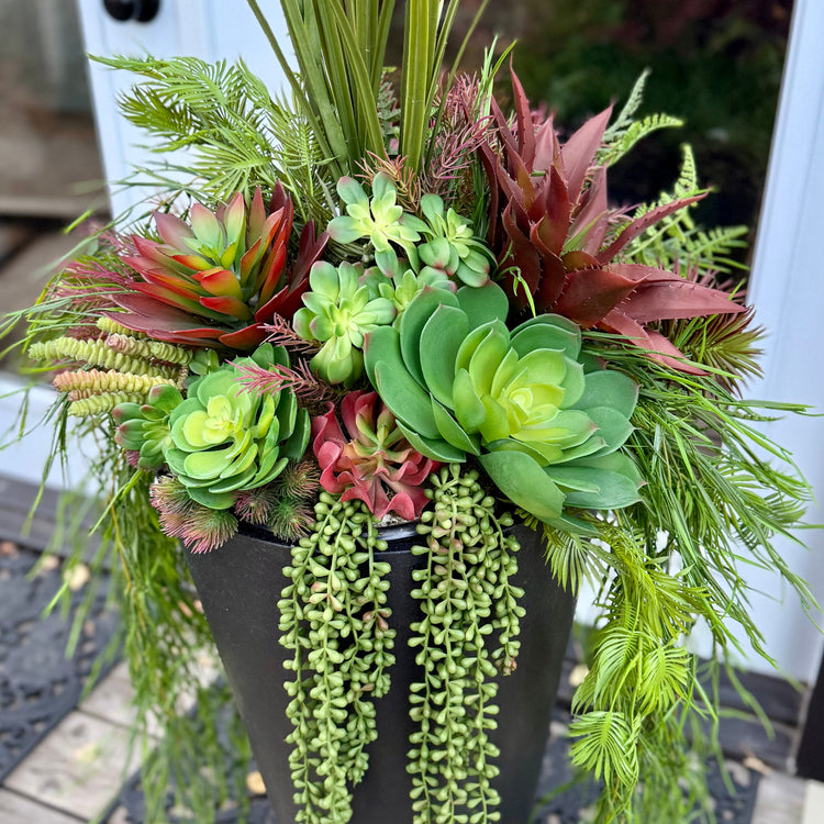 Red Succulent Drop In Planter Insert