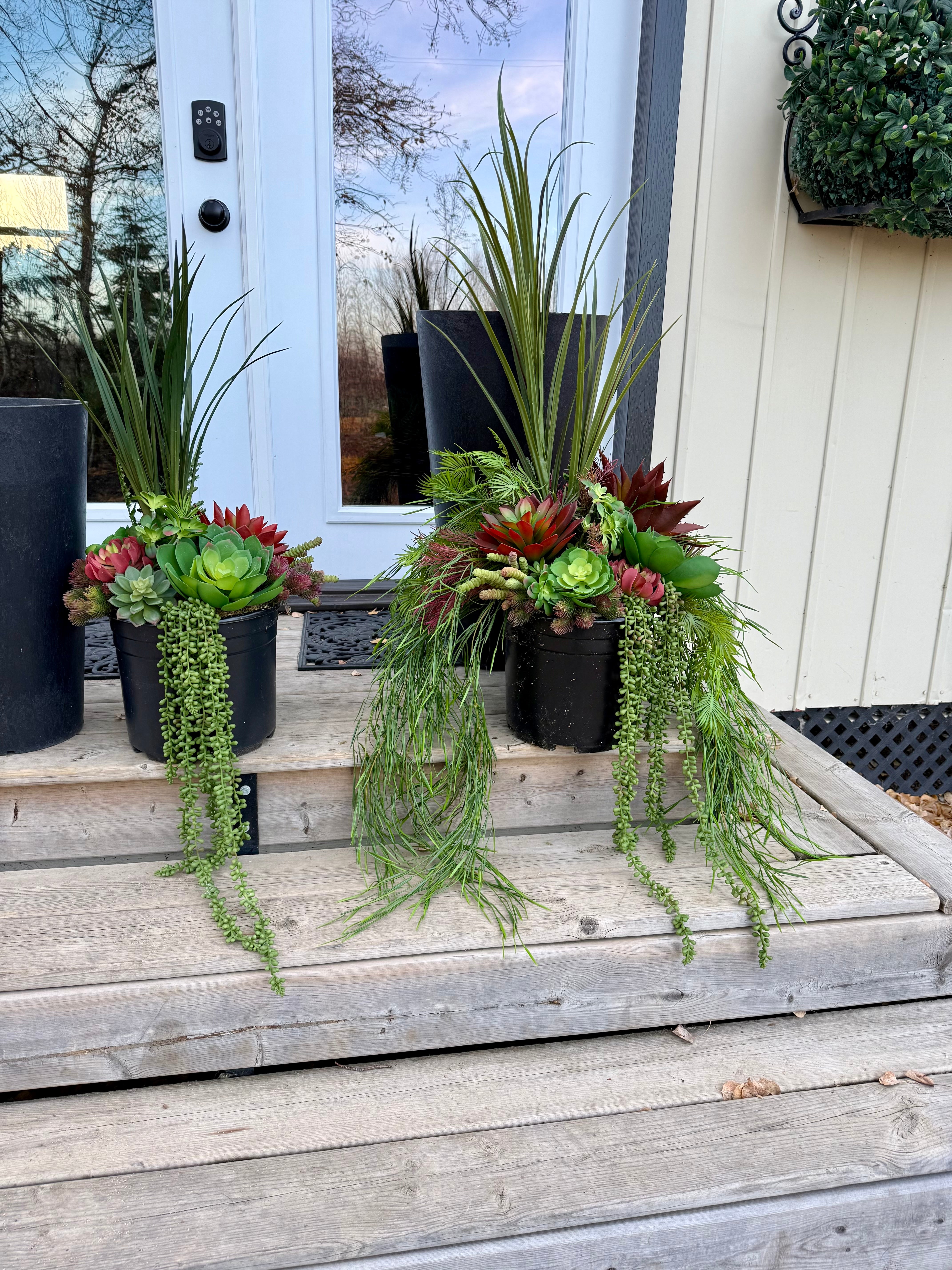 Set Of Two Succulent Inserts