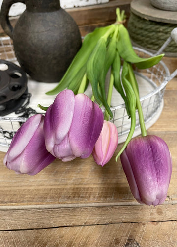 Light Purple 18” Fresh Touch Tulip Bundle