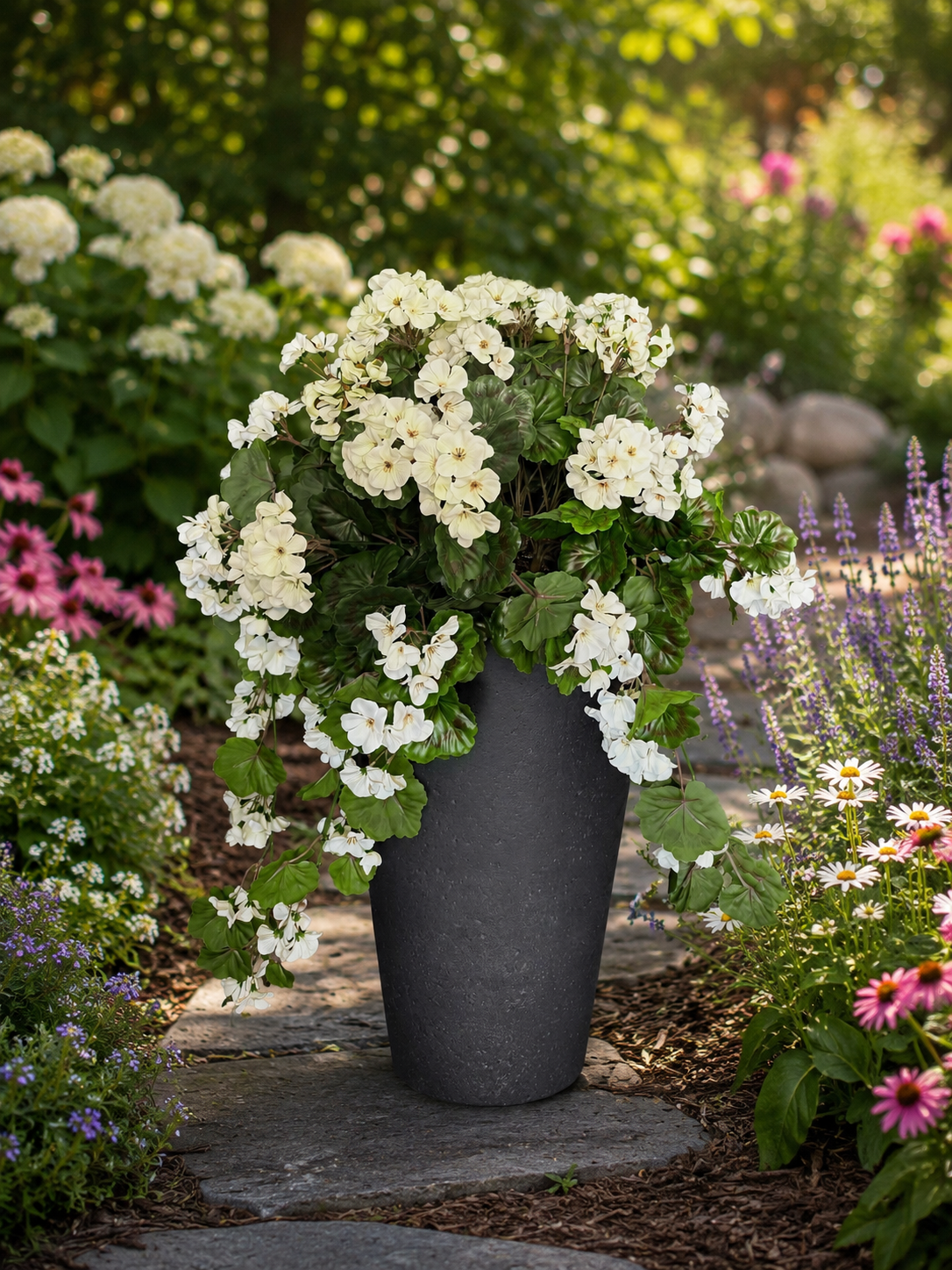 Geranium Drop in Planter