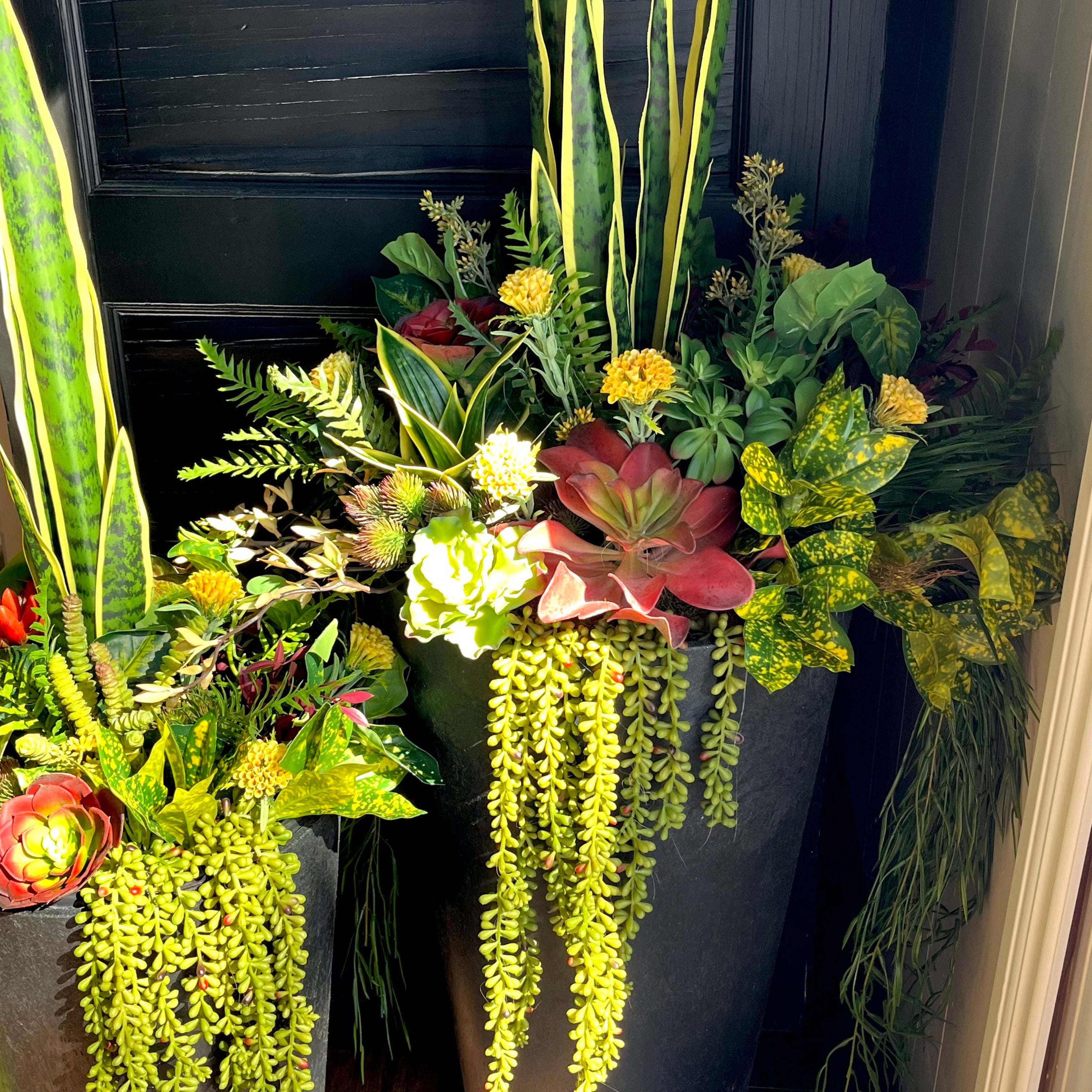 Set Of Two Tropical Inserts