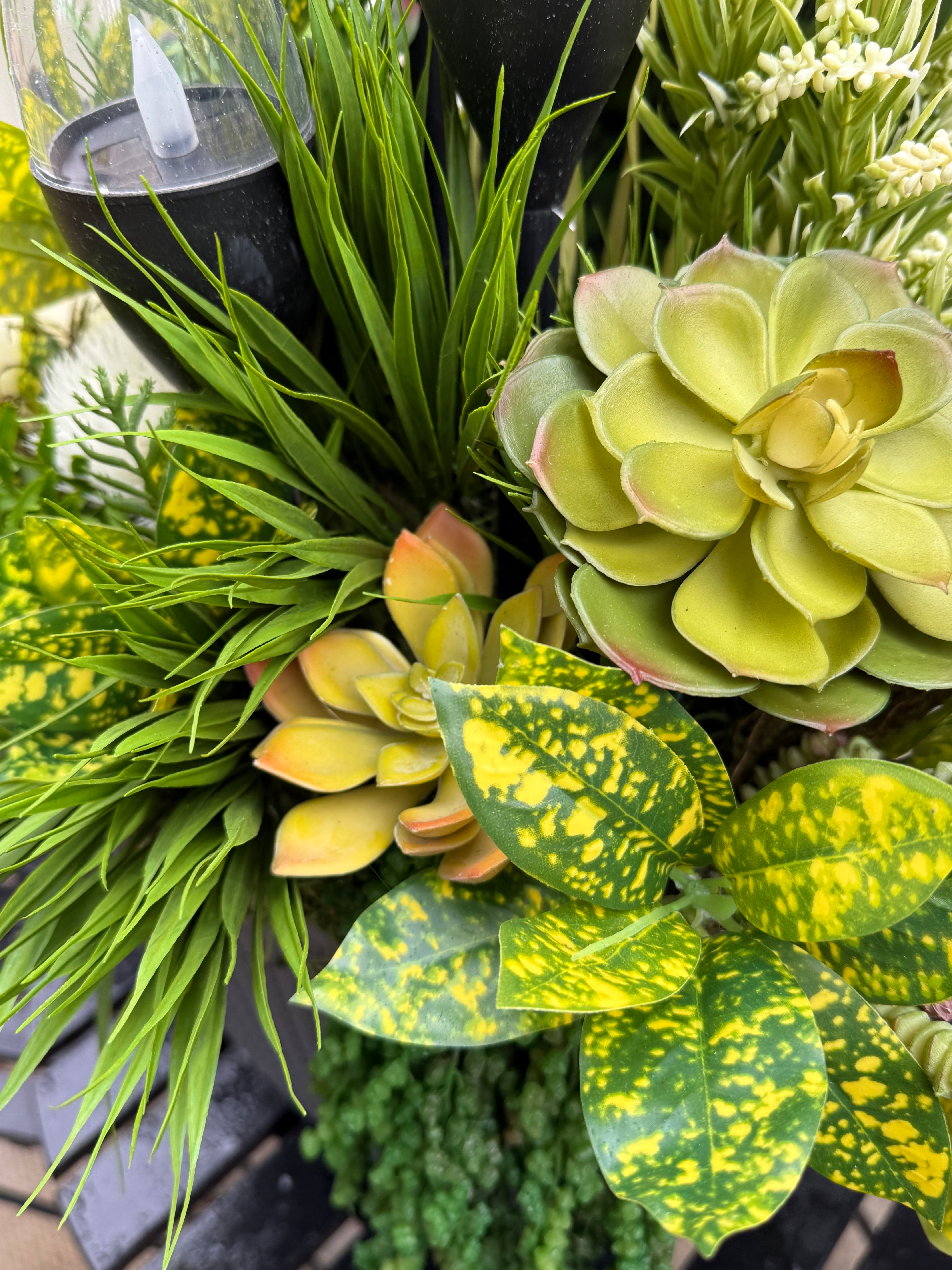 Yellow succulent drop in planter