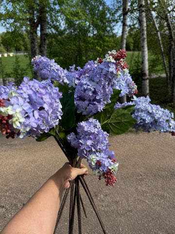 Lilac stem