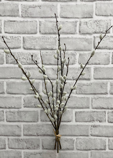 Pussy Willow Bundle