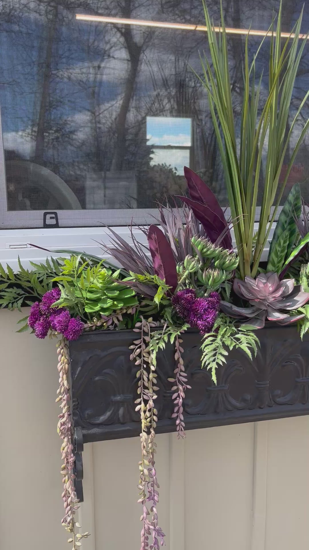 Purple Succulent Drop In Window Box