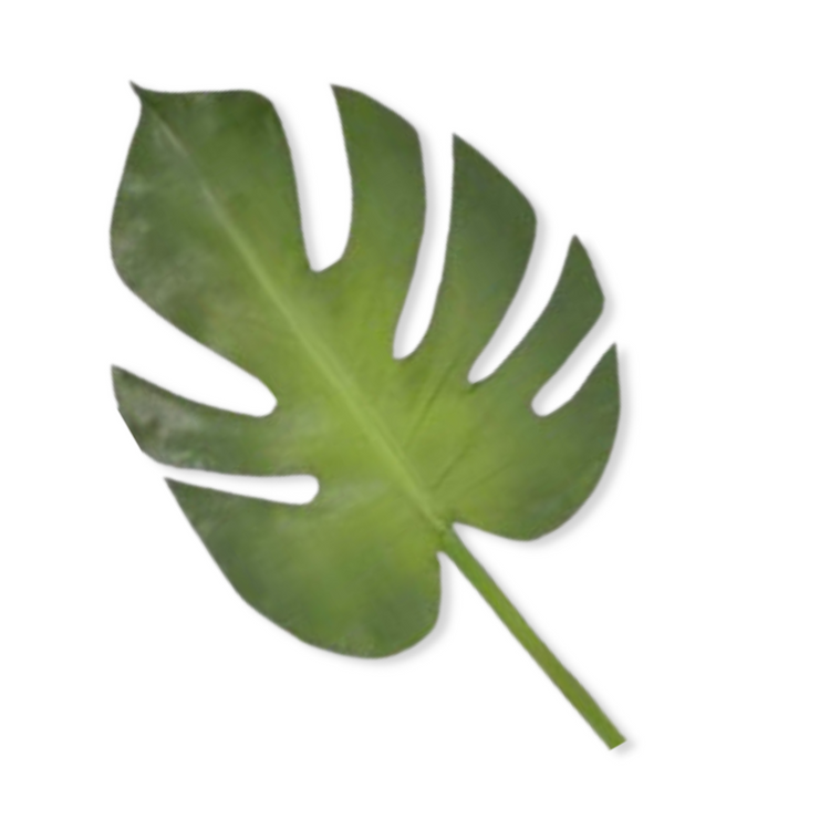 Faux Monstera Leaf