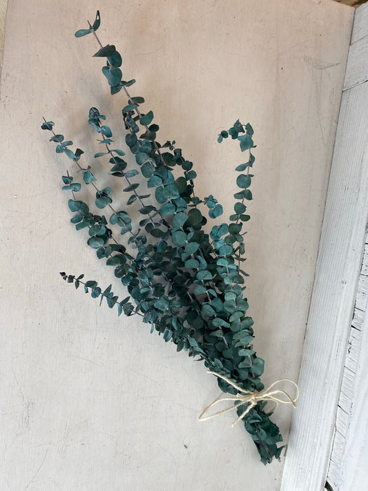 Eucalyptus Shower Steamer