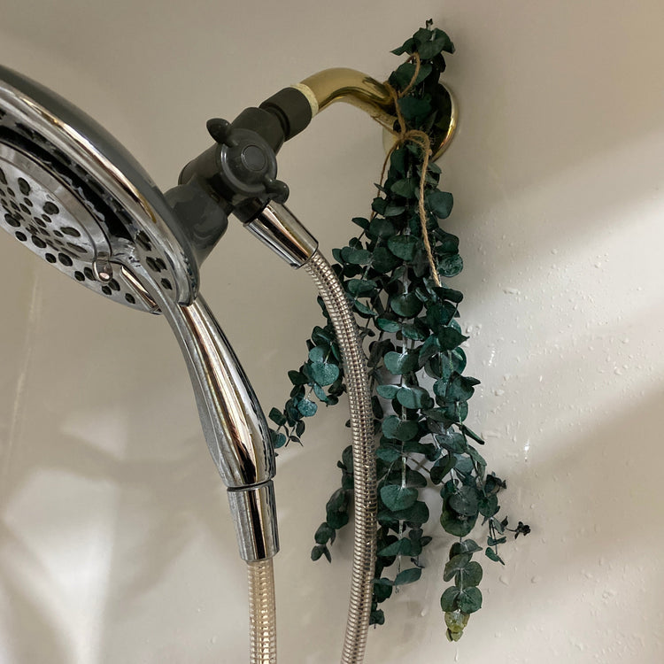 Eucalyptus Shower Steamer