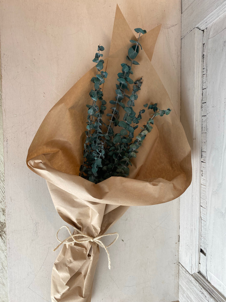 Eucalyptus Shower Steamer